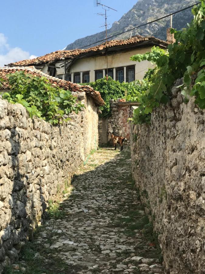 Kaloshi Villa Krujë 外观 照片